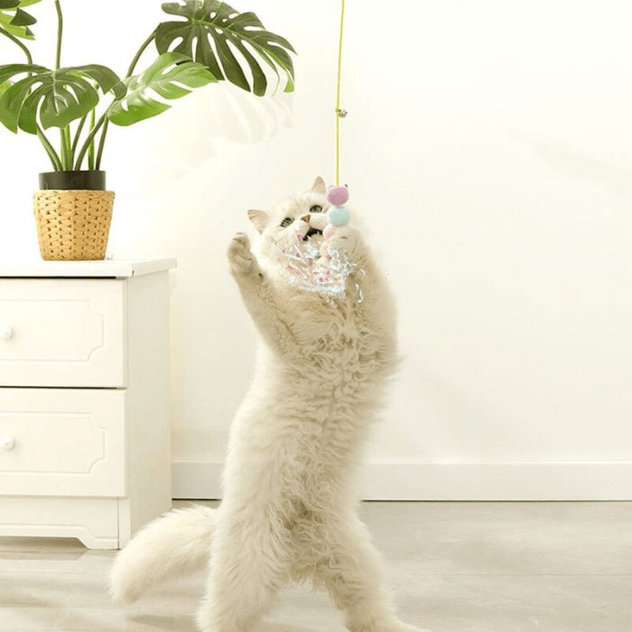 Hangable Interactive Cat Exercise Teaser Toy