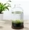 #06-5L Glass Terrarium Kit
