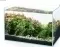 #01- 10 Gallon Fish Tank