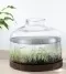 #05-2.5 Gallon Round Fish Bowl