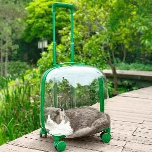 Pet Travel Bag