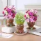 #1191 - Plant Head DIY Plantable Doll
