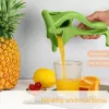 Fruit Juicer