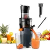 #09 - Easy-to-Use Masticating Juicer