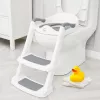 Potty Seat with Ladder