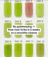 Click Here To Download Smoothie Diet Plan