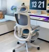 V1991 Ergonomi Chair