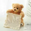 #3053 - Peekaboo Teddy Bear Plush Toy