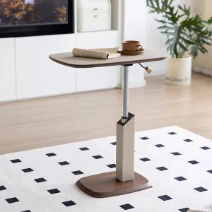 Ergonomic Minimalist Work Home Adjustable Table