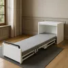 Dream Pod Ultra-Light Hidden Cabinet Folding Bed