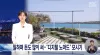 📺 DNK on MBC