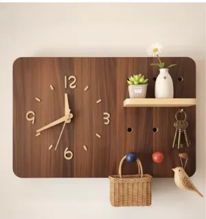 Panel Cloak Storage Hooks Electrical Cover