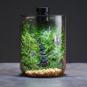 Mini Forest Maker Terrarium Decor Vase