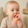 #19 - Fresh Fruit Food Feeder Grinding Stick Baby Nibble