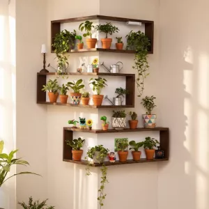 Floating Design Corner Wall Shelf