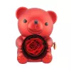 Eternal Rose Bear with Engraved Necklace