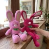 Pull My Ears Rabbit Plush Toy