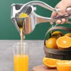 #137 - Extra Large Stainless Steel Manual Juicer