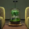 #148 - Micro Landscape Green Oasis Glass Vase