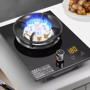 Single Unit Panel Gas Stove