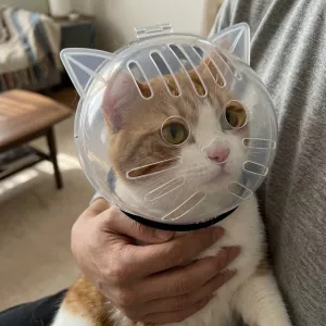Bubble Cone Transparent Cat Recovery Groom Helmet
