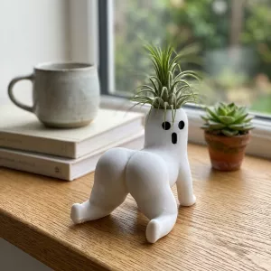 Teasing Ghost Plant Mini Vase