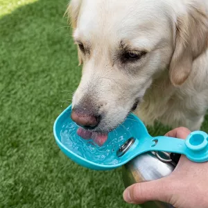 Sip & Stroll Portable Pet Water Drinking Bottle