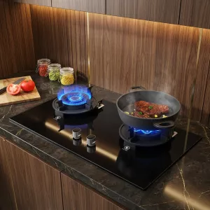 Liftable Double Gas Stove