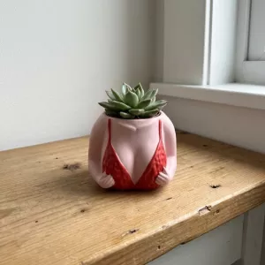 Beach Body Bikini Plant Pot