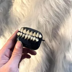 All Smiles Funny Teeth AirPods Cover Case