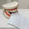 #3373 - Bite Back Teeth-Shaped Stapler