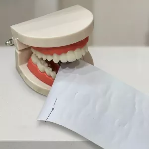 Bite Back Teeth-Shaped Stapler