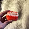 #3371 - All Smiles Funny Teeth AirPods Cover Case