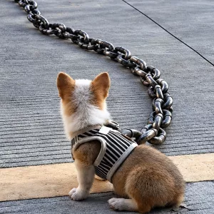 Giant Chunky Chain Dog Walking Leash