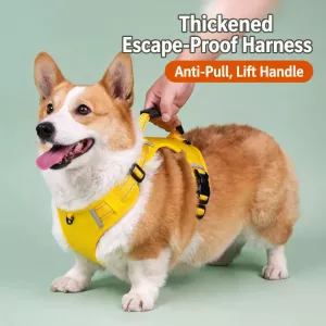 #0630 - Dog Vest Harness and Leash for Everyday Walks