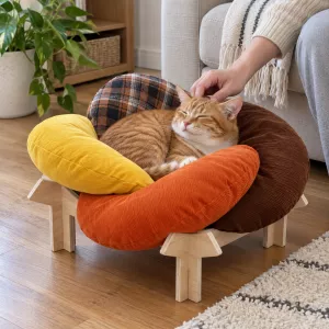 Flower Throne Rainbow Cat Bed