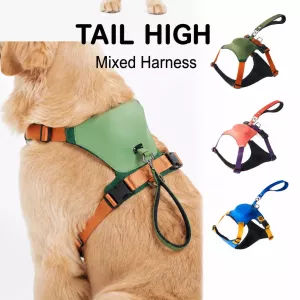 #0685 - Nylon Dog Harness and Leash Set