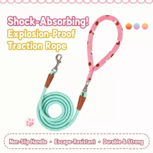 #3264 - Nylon Round Rope Dog Leash for Small and Medium Dogs