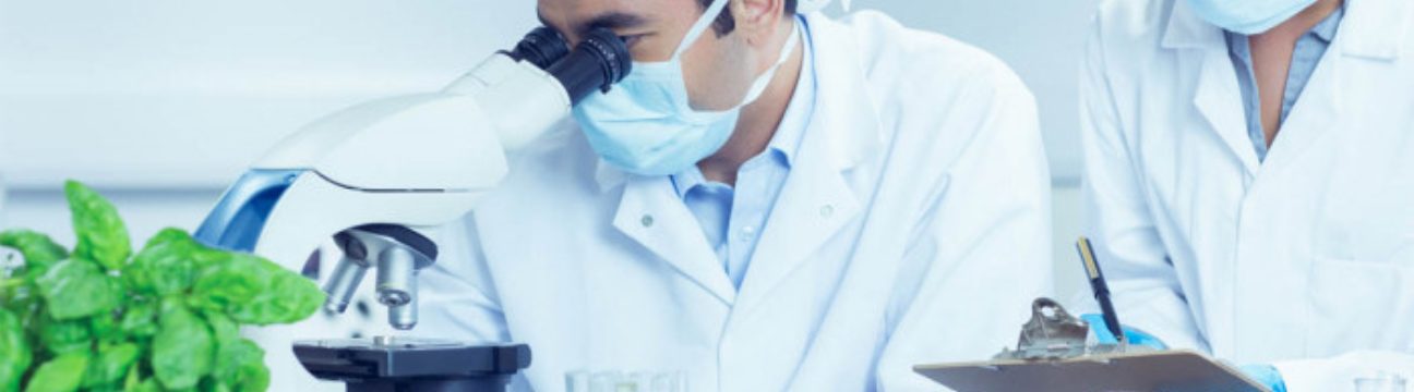 itsbio.link Biolink Cover Picture